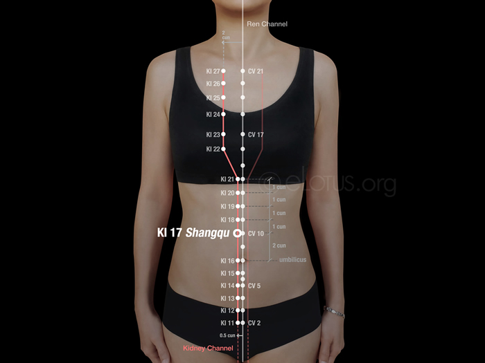 Shangqu Ki 17 Master Tungs Acupuncture Elotus Core